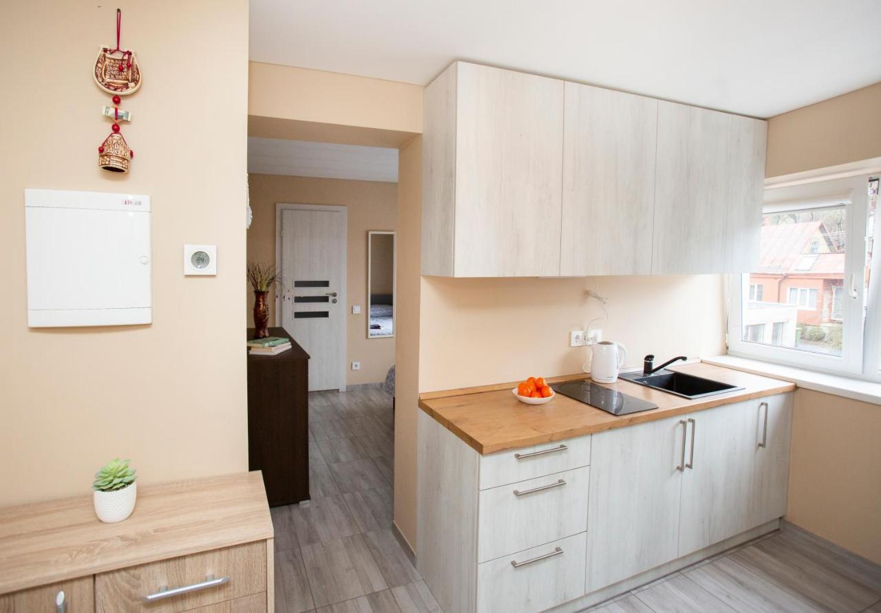 Chill&Go Apartment Kaunas Ngoại thất bức ảnh